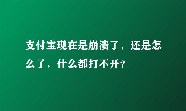 支付宝现在是崩溃了，还是怎么了，什么都打不开？