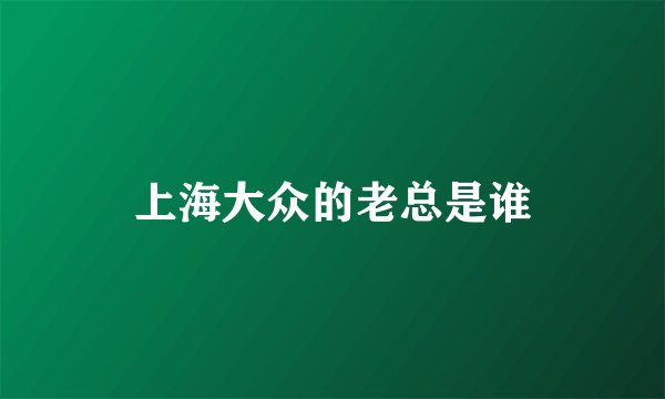上海大众的老总是谁