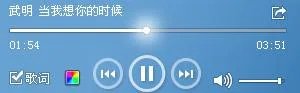 求武明《当我想你的时候》MP3