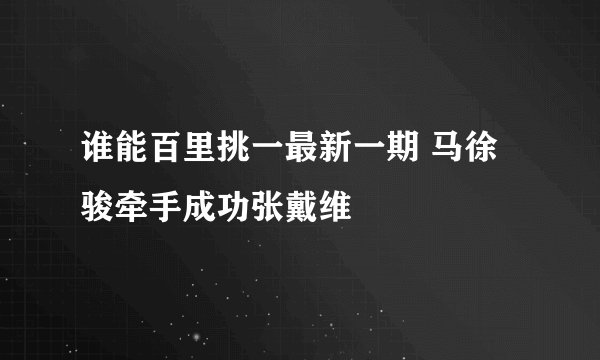 谁能百里挑一最新一期 马徐骏牵手成功张戴维