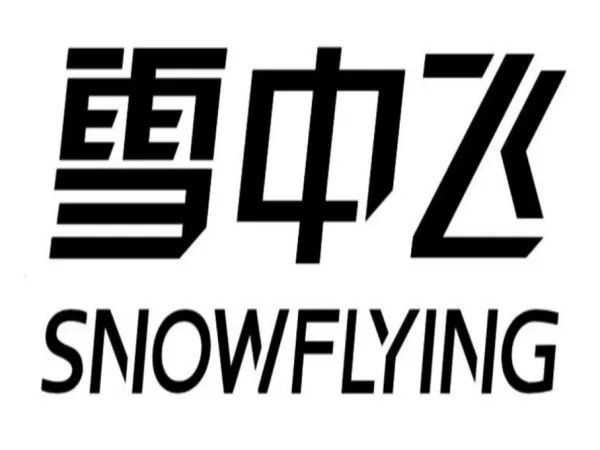羽绒服的十大品牌有哪些
