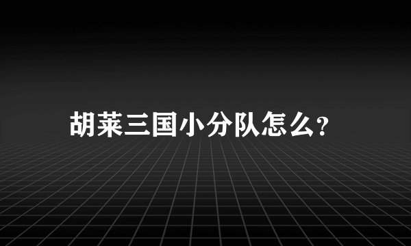 胡莱三国小分队怎么？
