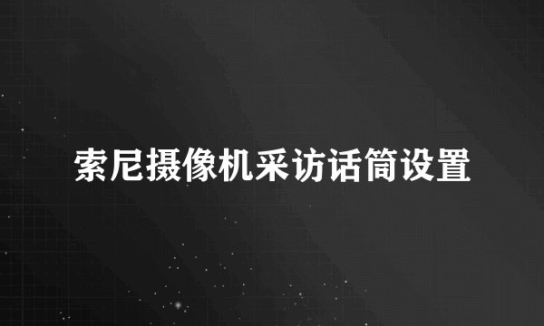 索尼摄像机采访话筒设置
