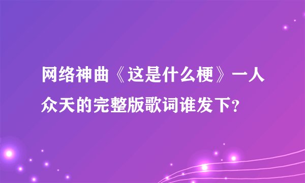 网络神曲《这是什么梗》一人众天的完整版歌词谁发下？