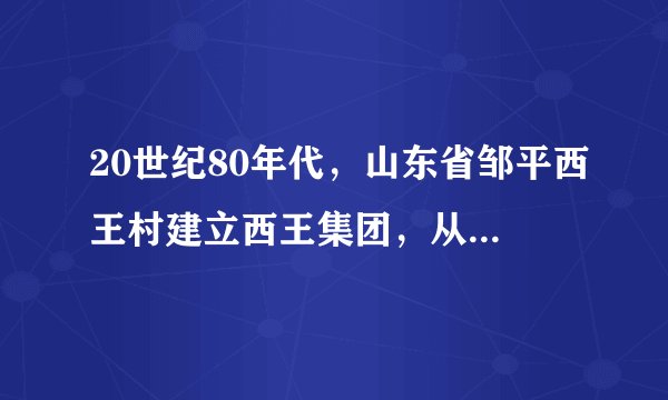 20世纪80年代，山东省邹平西王村建立西王集团，从棉油加工做起，经过努力，初步形成了完备的玉米深加工产业链条，打造了玉米油、果糖等终端品牌消费品，……这反映了西王村（　　）A.开始实行土地改革B.建起人民公社C.推行家庭联产承包责任制D.发展乡镇企业