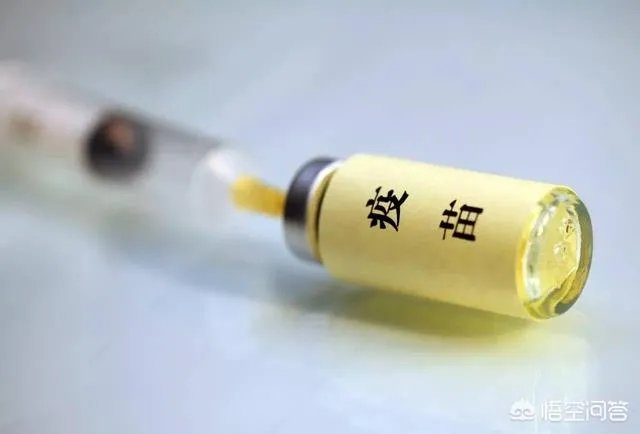大家认为高俊芳的老公和儿子会判刑吗?