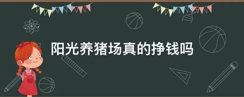 阳光养猪场真的挣钱吗