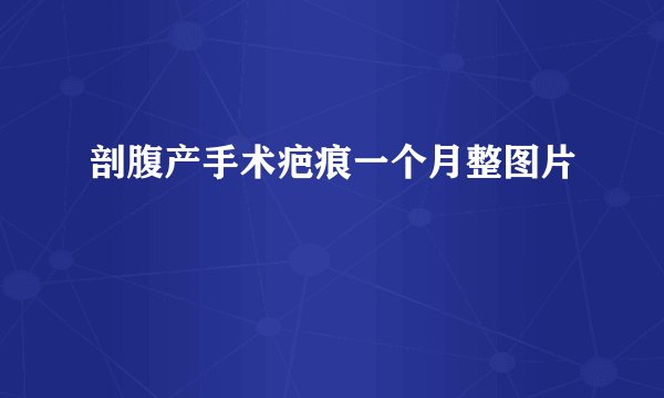剖腹产手术疤痕一个月整图片