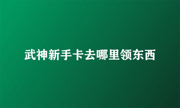 武神新手卡去哪里领东西