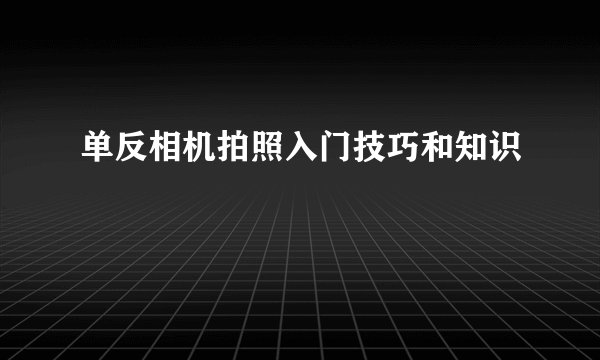 单反相机拍照入门技巧和知识