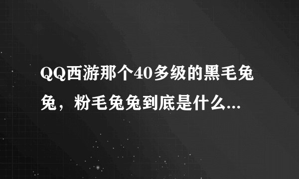 QQ西游那个40多级的黑毛兔兔，粉毛兔兔到底是什么东西？ 一打我就是好多血，怎么那么强、、