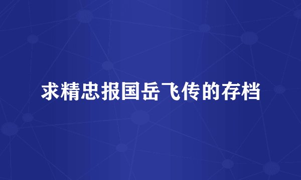 求精忠报国岳飞传的存档