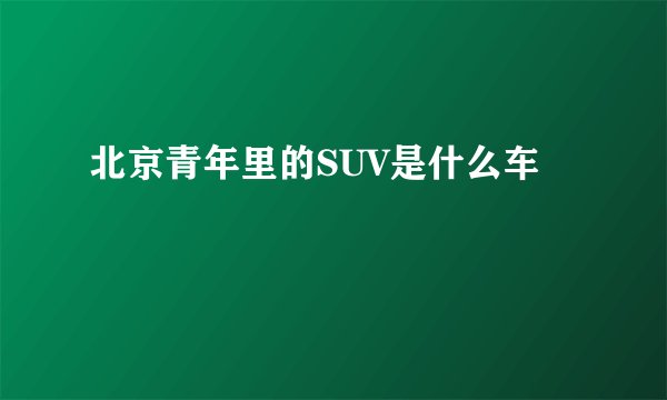 北京青年里的SUV是什么车