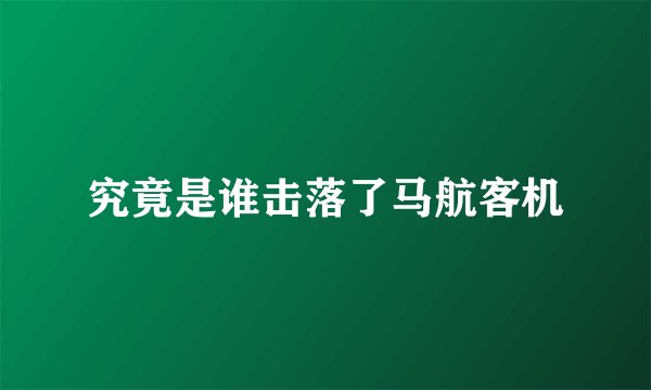 究竟是谁击落了马航客机