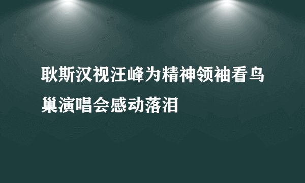 耿斯汉视汪峰为精神领袖看鸟巢演唱会感动落泪