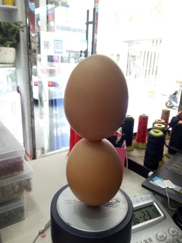 长期单身的姑娘有哪些特征?