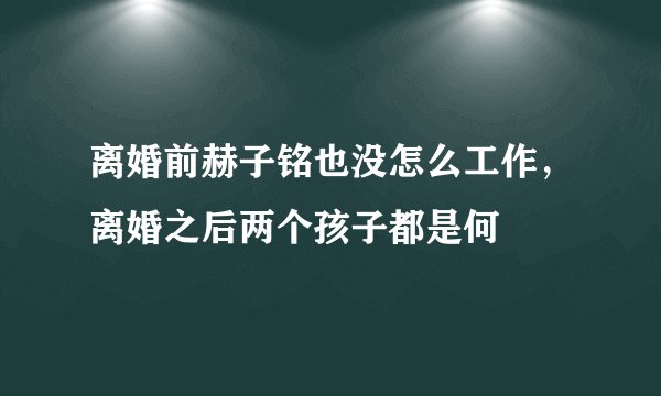 离婚前赫子铭也没怎么工作，离婚之后两个孩子都是何