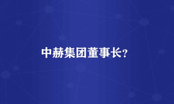 中赫集团董事长？