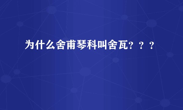 为什么舍甫琴科叫舍瓦？？？