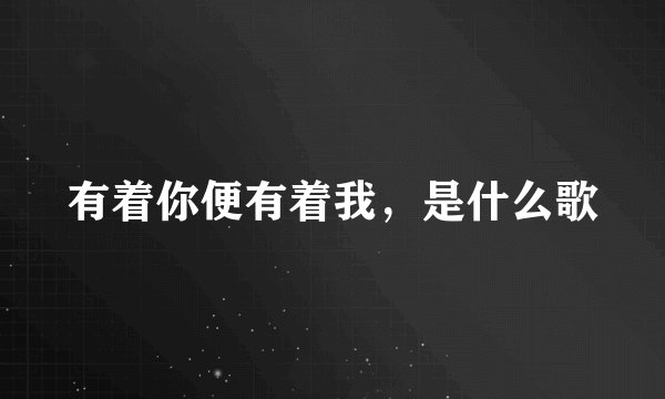 有着你便有着我，是什么歌