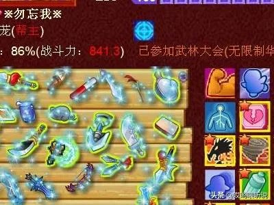Q宠大乐斗实战提升攻略?