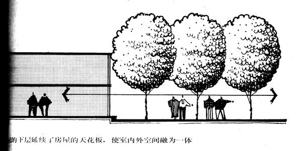 干货 | 庭院植物打造,营造十足空间感