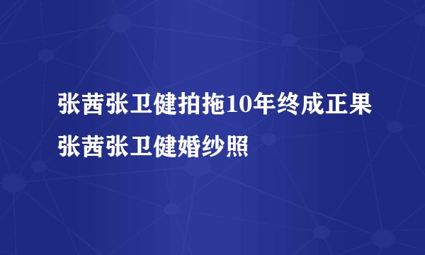 张茜张卫健拍拖10年终成正果张茜张卫健婚纱照