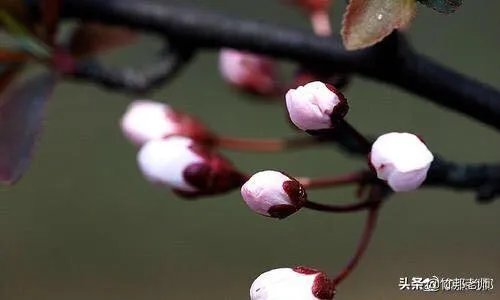 为什么有些人总是说不停,一刻也不愿安静下来?