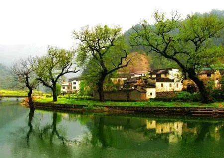 雨里鸡鸣一两家,竹溪村路板桥斜。是什么意思?
