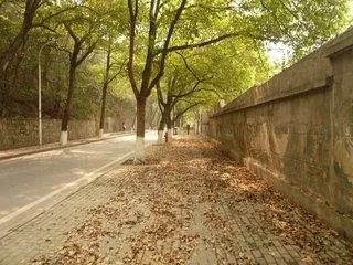 形容时间过得快的句子岁月就像一把杀猪刀