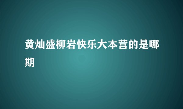 黄灿盛柳岩快乐大本营的是哪期