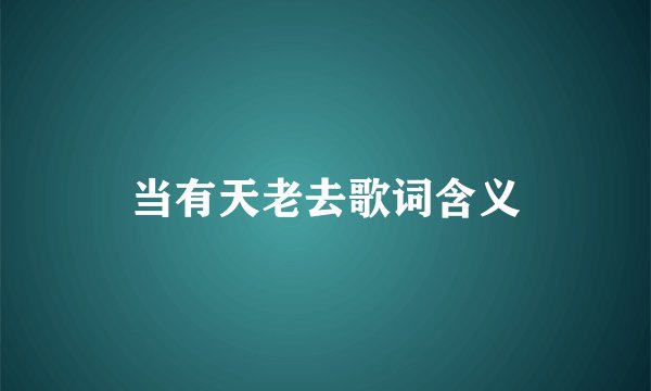 当有天老去歌词含义