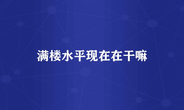 满楼水平现在在干嘛