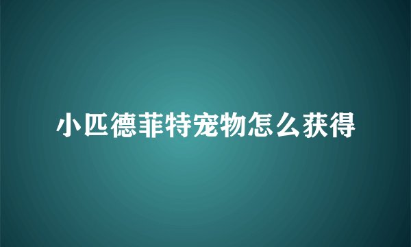 小匹德菲特宠物怎么获得