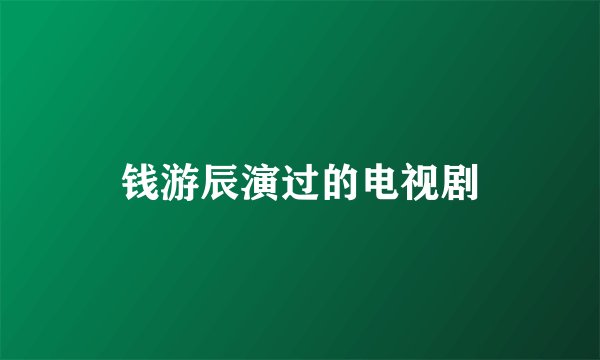 钱游辰演过的电视剧