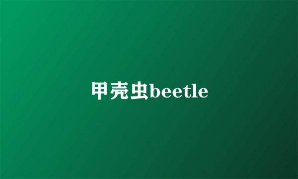 甲壳虫beetle