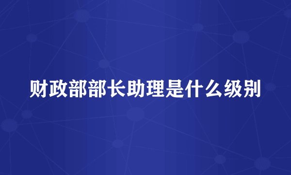 财政部部长助理是什么级别