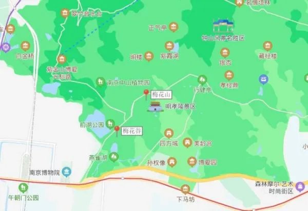 南京梅花谷和梅花山是同一地方嘛？门票多少？