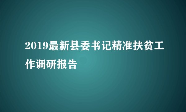 2019最新县委书记精准扶贫工作调研报告