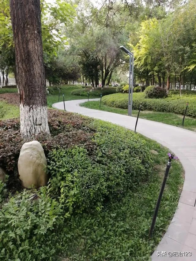 谈一谈从国企辞职出来,是一种什么样的感受,是解脱,还是后悔?