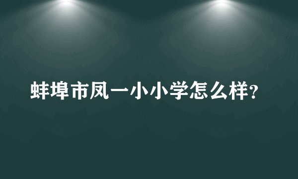 蚌埠市凤一小小学怎么样？