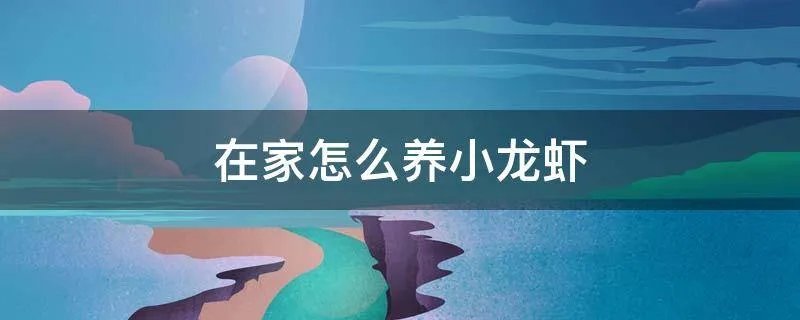 在家怎么养小龙虾