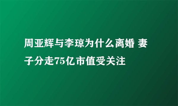 周亚辉与李琼为什么离婚 妻子分走75亿市值受关注