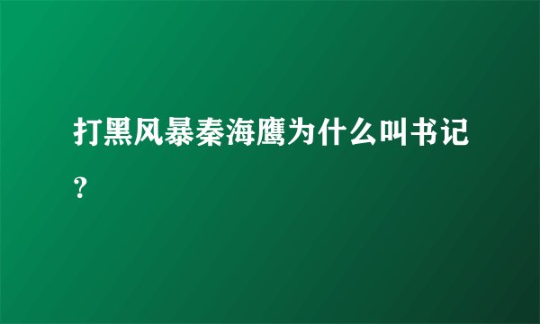 打黑风暴秦海鹰为什么叫书记?