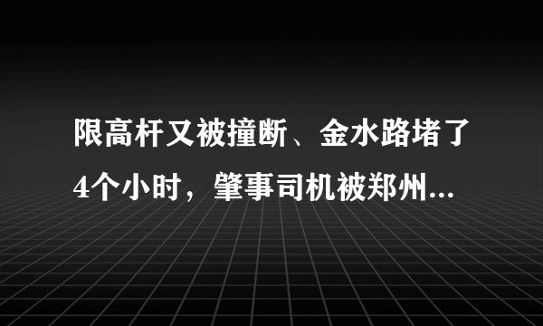 限高杆又被撞断、金水路堵了4个小时，肇事司机被郑州警方带走, 你怎么看？