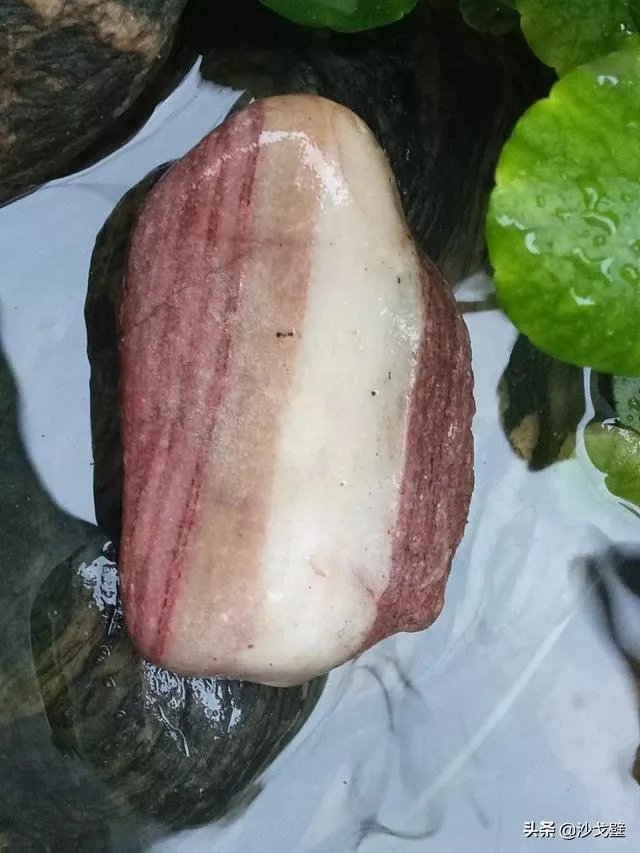 你喜欢到哪里捡奇石,收获如何?