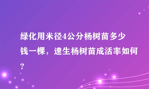 绿化用米径4公分杨树苗多少钱一棵,速生杨树苗成活率如何?