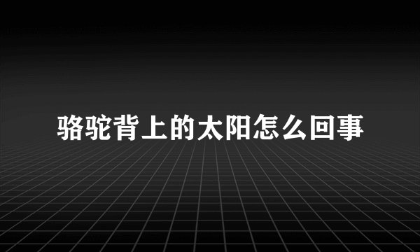 骆驼背上的太阳怎么回事