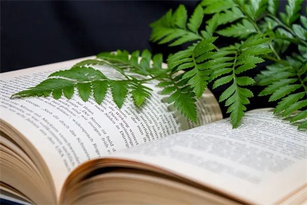 2020央视《开学第一课》主题是什么_《开学第一课》什么时候播出