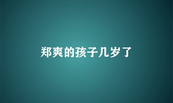 郑爽的孩子几岁了